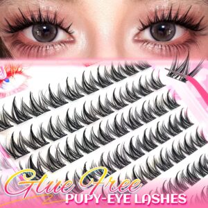 Cross-border European and American style glue-free false eyelashes, doggy-style natural comic eyes, large-capacity set eyelashes wholesale