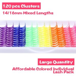 Cross-border Colored Lash Clusters Individual Lashes D Curl