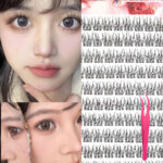 Glue-free Korean and Japanese false eyelashes, stemless self-adhesive, natural-looking, beginner-friendly, large-capacity segment 8mm eyelashes wholesale - [No stem, glue-free] 120 clusters natural fishtail lashes (with tweezers)