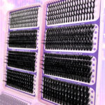 150D High Density Cluster Lash Book - Purple Book Fairy 6810d-40 Rows