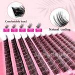 TK European and American cross-border hot-selling false eyelash set, false eyelash washboard, Amazon segmented false eyelashes
