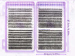 European and American cross-border 30/40/50D lash book large capacity lash DIY cluster lash glue set Amazon