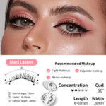 Magnetic False Eyelashes Integrated Case Glue-Free Magnetic Lashes Natural Thick Reusable Factory Wholesale