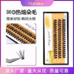 30P Hot Melt Fluffy Lashes Self-Lash Extension Natural 3D DIY Eyelashes Thick and Voluminous