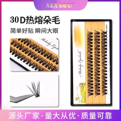 30P Hot Melt Fluffy Lashes Self-Lash Extension Natural 3D DIY Eyelashes Thick and Voluminous