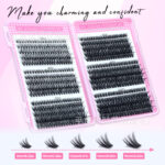 Cross-border bestseller lash book large capacity 600 clusters lash book 30/40/50/60/80/100D individual false eyelashes