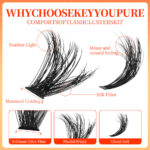 Cross-border bestseller, thick and large-capacity D-curve single-cluster false eyelashes 8-18mm, DIY segmented self-application eyelashes, European and American style