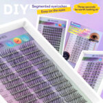 Light European-American style single-cluster false eyelashes, Asian-friendly, camera-ready, bold look, dense, segmented, curly, fluffy, plush texture, D-curl