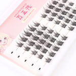 10 Rows Bulk Spiky False Lashes Pure Desire White Moonlight Lazy Three-Step Pure Wild Little Devil Mix - Peacock Guppy Lazy Three-Step False Eyelashes